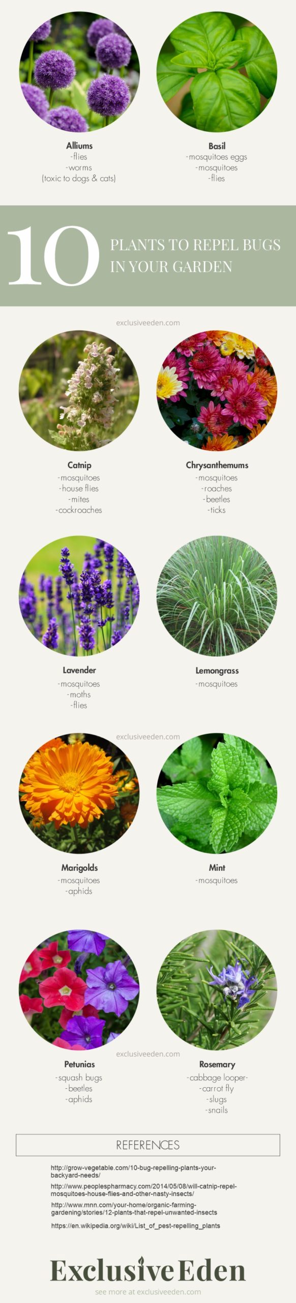 Plant guide infographic for which plants help repel bugs.