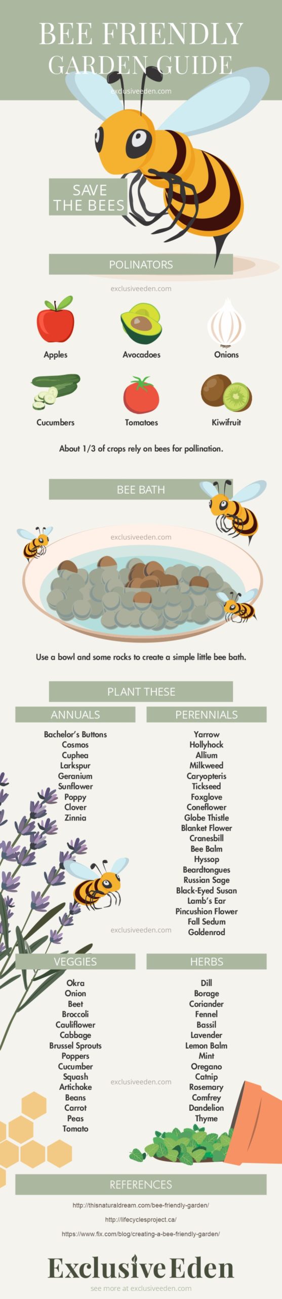 Illustrated infographic guide to creating a bee friendly garden,