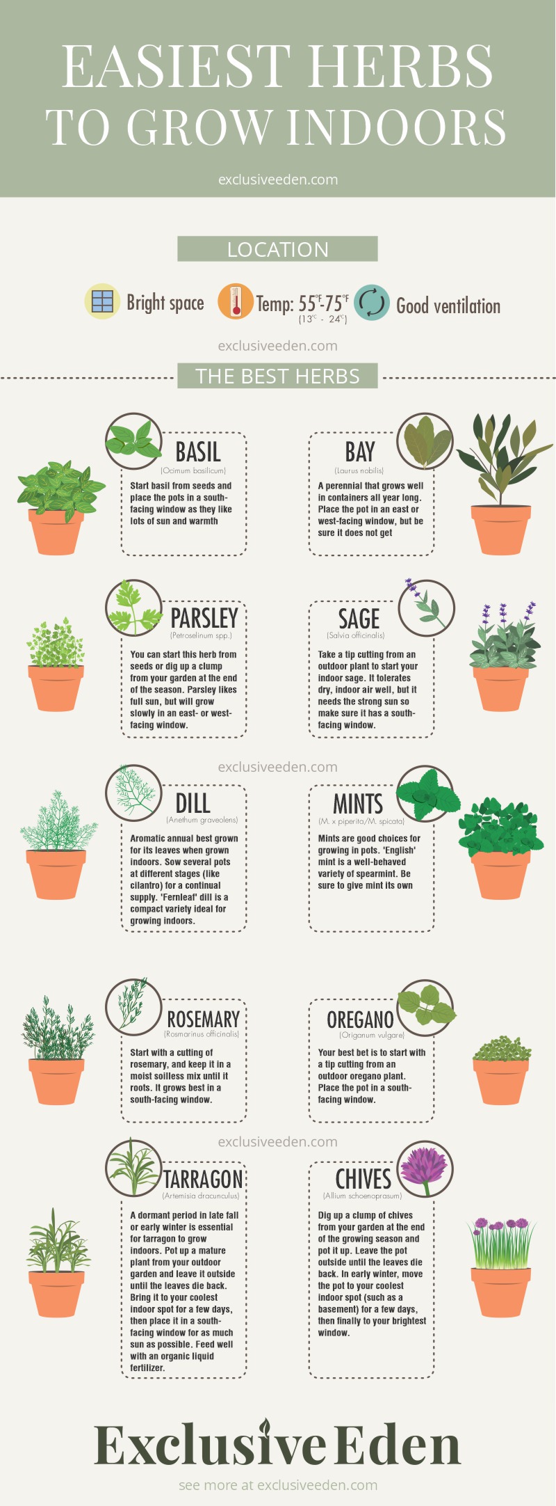 Little guide to the easiest herbs to grow inside. Use this infographic to help in your plant choices.