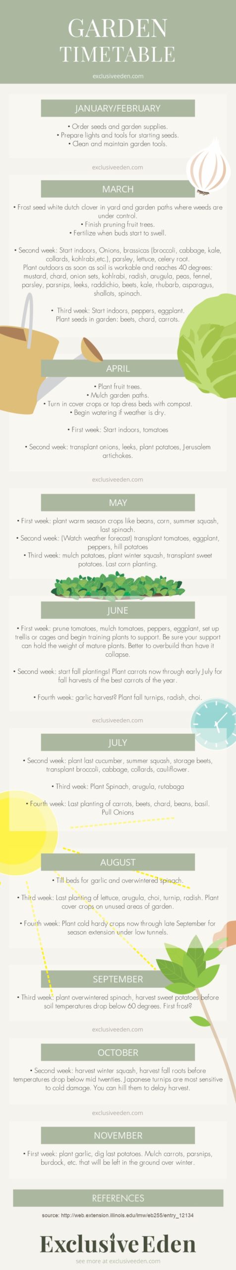 Garden timetable infographic illustrated infographic.