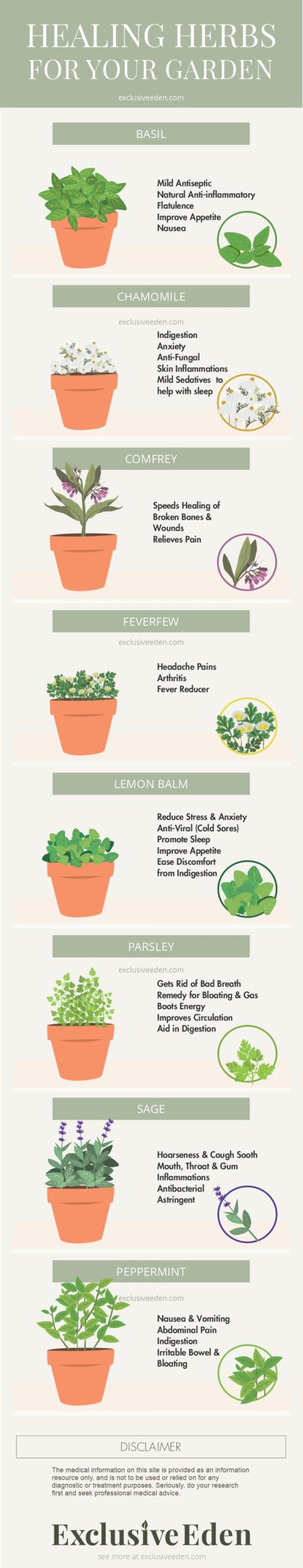 Illustrated infographic on healing herbs for your garden.