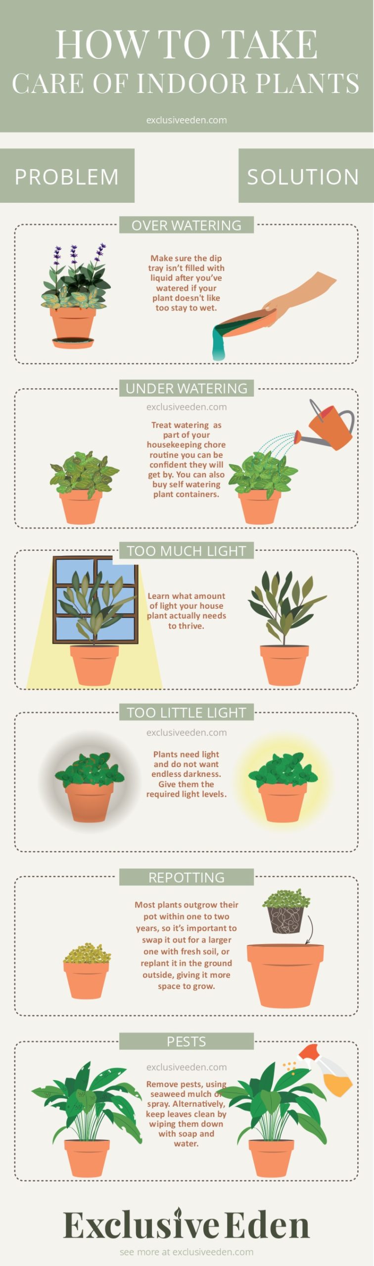 Simple little infographic illustrated guide that gives some tips to take care of indoor plants.