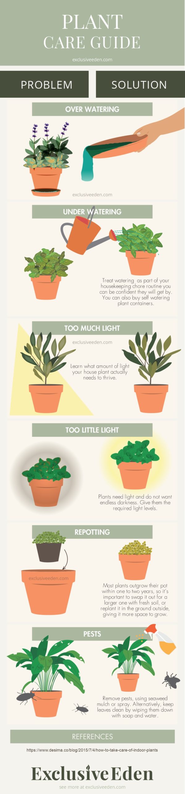 A plant care guide illustrated as an infographic.