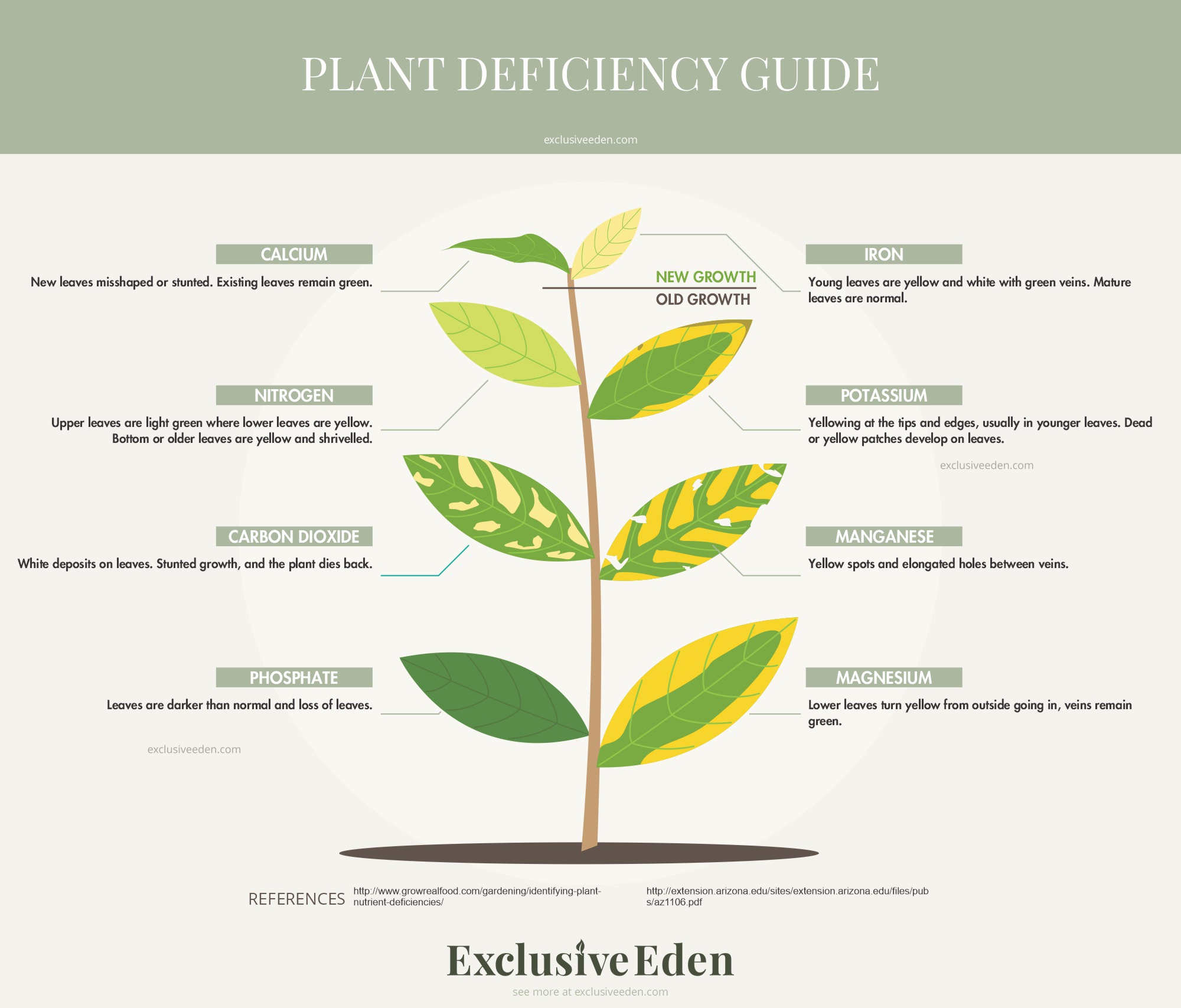 Simple illustrated guide to understanding common plant deficiencies.