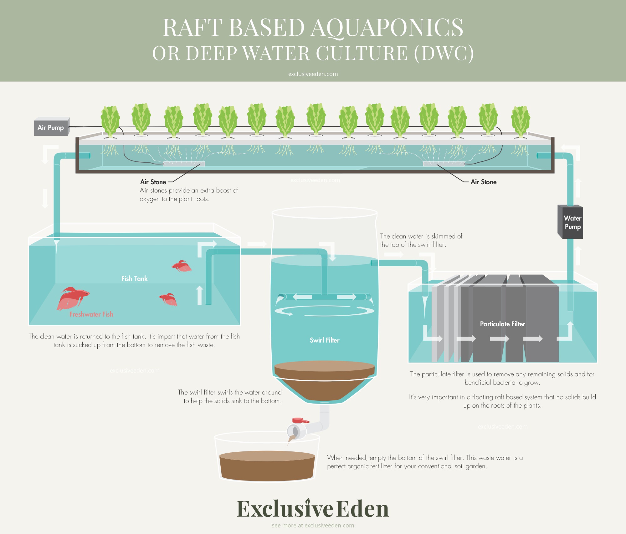 Illustrated guide to raft based aquaponics.
