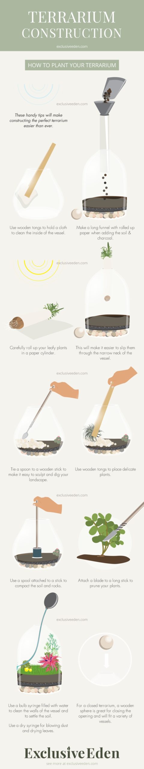 Infographic guide on making your own terrarium.
