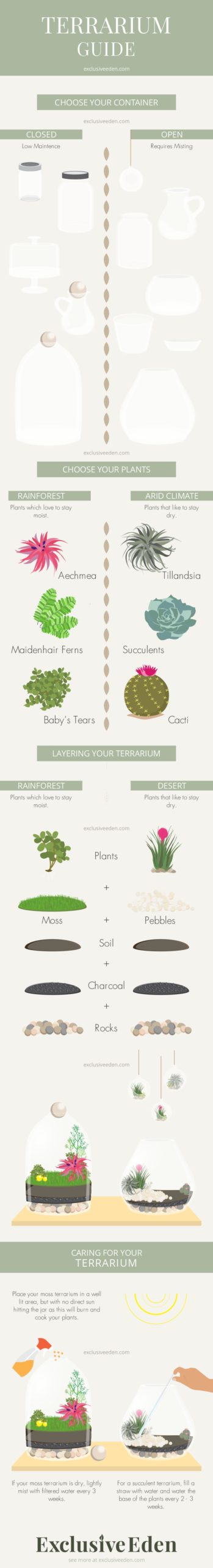 An infographic guide on the different parts of a terrarium.