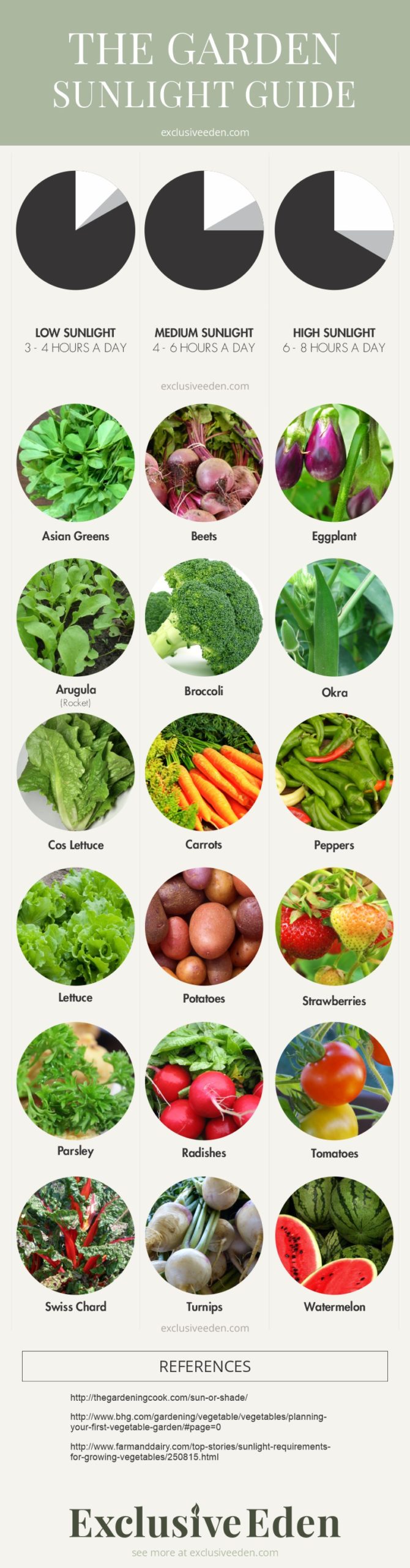 An infographic that helps guide how much sunlight your vegetables are recommended.