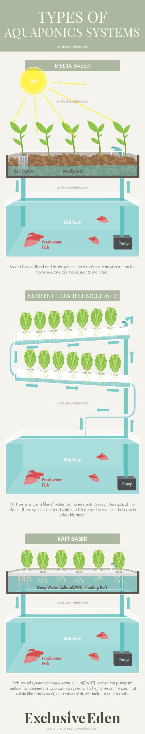 An infographic on the types of Aquaponic systems.