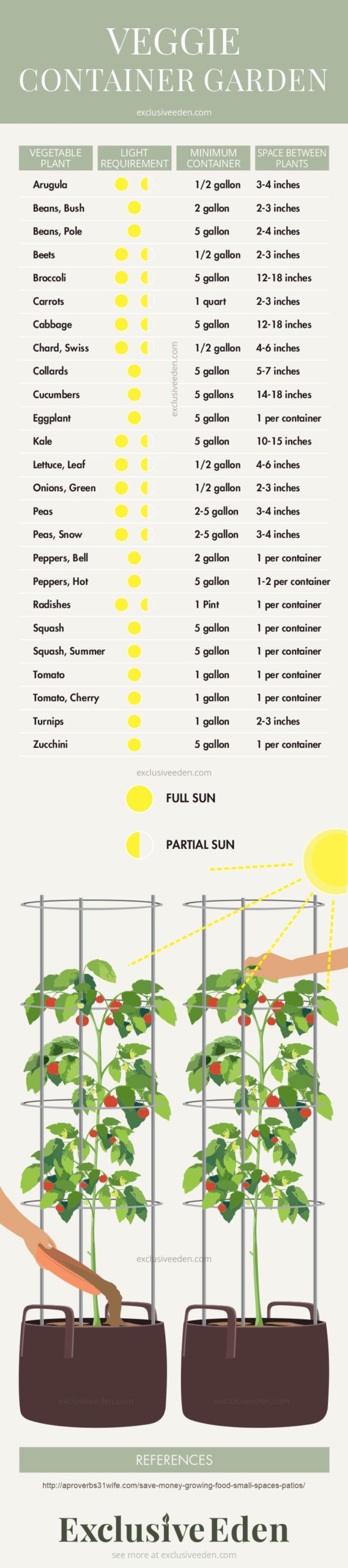 Vegetable container garden illustrated infographic guide.